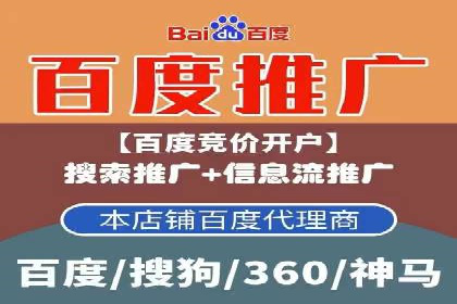 百度竞价广告成功案例：如何实现ROI最大化